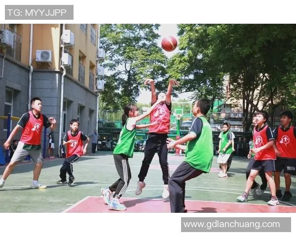 成都篮球队的拼搏之路精英赛特别报道展现奋斗精神与团队力量